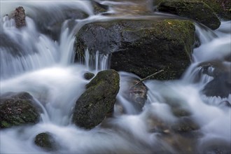 Gertelbach, Gertelbach Waterfalls, Gertelbach Falls, Gertelbach Gorge, Bühl, Bühlertal, Northern