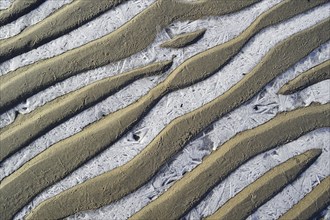 Pattern of sand ripples and ice on the beach during frost in winter, the Netherlands