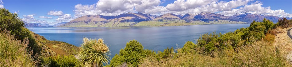 Lake Wanaka, Otago, New Zealand, Oceania