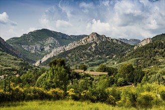 Buis-les-Baronnies, Departement Drôme, Provence, Provence-Alpes-Côte dAzur, France, Europe