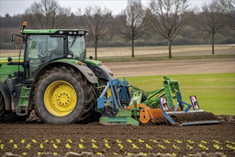 Tractor with a power harrow prepares the soil of a field for planting, Agriculture, Spring