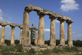 Metaponto, Metaponte, Doric hera temple, Tavole Palatine, Basilicata, Italy, Europe