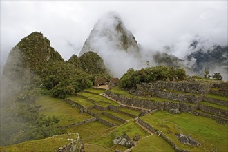 Inca ruins of Machu Picchu in the clouds, Cusco region, Peru, South America