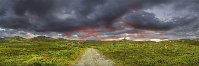 Path in the fjell area near the lake Savalen, fjell hut, fjell, landscape, evening mood, Savalen,