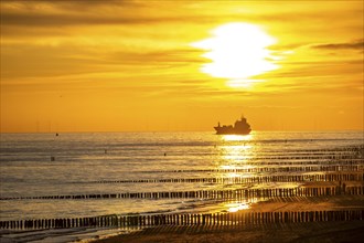 Sunset on the beach of Zoutelande, beach with wooden pile breakwaters, cargo ship sailing towards