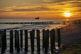 Sunset on the beach of Zoutelande, beach with wooden pile breakwaters, cargo ship sailing towards