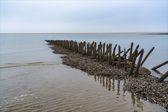 North Sea island of Spiekeroog, East Frisia, in winter, groynes, breakwater on the west beach