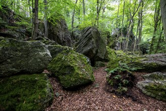 The Felsenmeer in Hemer, Sauerland, geotope, with rugged rock formations, nature reserve, North