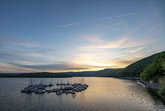 Lake Rursee, reservoir in the Eifel National Park, north-east bank near Heimbach, near the Rur dam