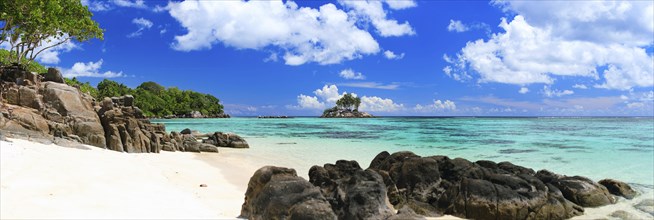 La Digue, Palm tree beach, Seychelles, Indian Ocean, Palm trees, La Digue, Indian Ocean,