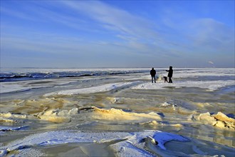 Germany, Lower Saxony, Varel, Dangast, Butjadingen, Butjadinger Land, walker, winter, East Frisia,