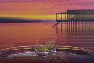 Splash of a drop falling into water, studio shot with Lake Constance motif as background, Bavaria,