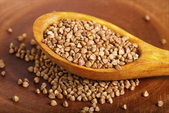 Pile of buckwheat in a wooden spoon on brown background. Closeup