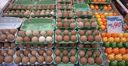 Fresh eggs, vesper eggs, free-range eggs, egg carton, weekly market market, Stuttgart,