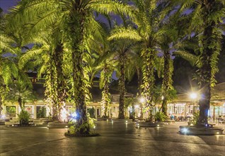 Decorative night lighting in the Botanic Garden of Singapore