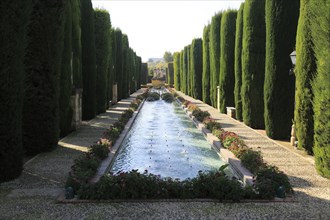 Gardens of the Alcazar de los Reyes Cristianos, Alcazar, Cordoba, Spain, Europe