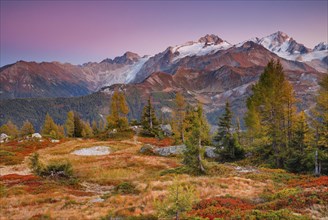 View at sunset to the Aiguilles de Tour and Aiguille de Chardonnet in the Savoy, France, Europe