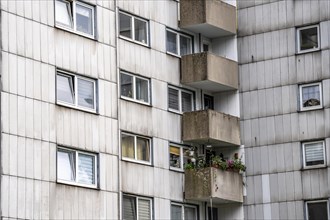 Old residential tower block in Duisburg-Neuenkamp, only one balcony with plants, Duisburg, North