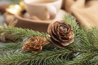 Christmas or New Year composition. Decorations, cones, cinnamon, fir and spruce branches, cup of