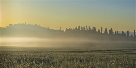 Sunrise in the Crete Senesi, Province of Siena, Tuscany, Italy, Europe