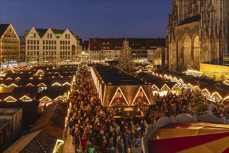 Christmas market in front of the cathedral on Münsterplatz, Ulm, Baden-Württemberg, Upper Swabia,