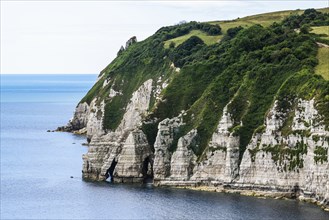 White Cliff, Jurassic Coast, Beer Village, Seaton, Devon, England, United Kingdom, Europe