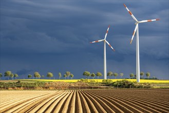 Wind turbines on a rape field, dark rain clouds, in the Rhenish lignite mining area, near