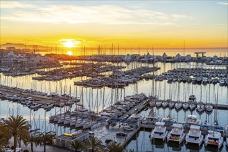 Palma de Majorca, Bay of Palma, marina Port de Majorca, sailing boats and motor yachts Balearic