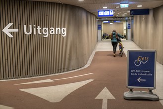 Bicycles at the OV-Fiets rental station, at Utrecht Central Station, hundreds of rental bikes