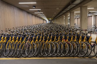 Bicycles at the OV-Fiets rental station, at Utrecht Central Station, hundreds of rental bikes