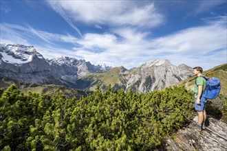 Mountaineer on a hiking trail with mountain pines, mountain panorama with rocky steep peaks, view