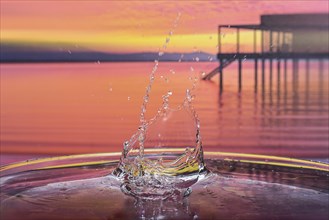 Splash of a drop falling into water, studio shot with Lake Constance motif as background, Bavaria,