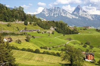 Railway passenger train of the type Stadler Flirt of the Südostbahn on the mountain GroÃŸer Mythen