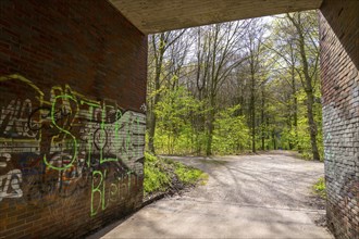 The Sterkrader Wald in Oberhausen, at the Oberhausen motorway junction, where the A2/A3A/A516 meet,