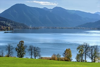 Tegernsee with Wallberg, green meadow, trees as silhouette on the shore, Mangfall mountains,