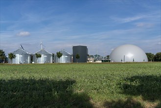 Biogas plant, storage silos, large buffer tank for hot water for intermediate energy storage,