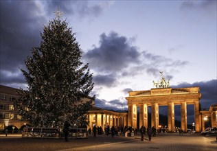 Christmas tree at the Brandenburg Gate, Berlin, 20.12.2021