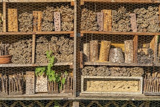 Model gardens in Grugapark, garden at the House of Bees, insect hotel, horticultural design of