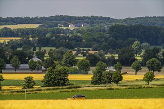 BundesstraÃŸe 1, Werler StraÃŸe, fields, forest and grain fields east of Unna, near the village of