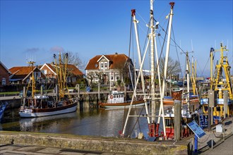 Cutter harbour Neuharlingersiel, Lower Saxony, Germany, Europe