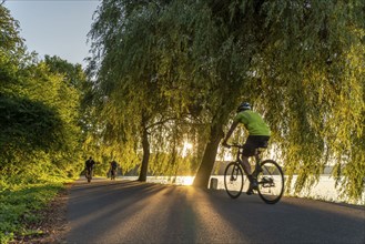 Cycling on Lake Baldeney, around 14 kilometres around the Ruhr reservoir, summer evening on the