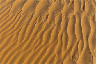 Rub al-Shali, the largest desert on earth in Oman, Rub al-Chali, Empty Quarter near Ubar, Salalah,