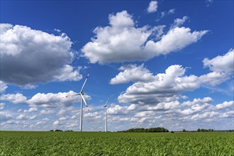 Wind farm, wind turbine, wind turbines from the manufacturer Enercon, blue sky with many white