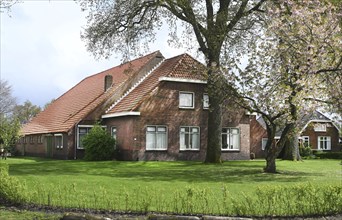 NL, Eesergroen: Spring characterises the landscape, towns and people in the province of Drenthe in