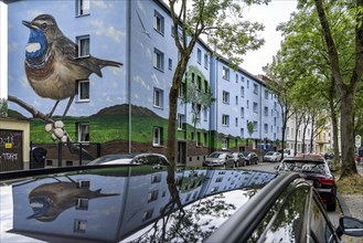 Residential buildings on Feldsieper StraÃŸe in Bochum, after an energy-efficient refurbishment,