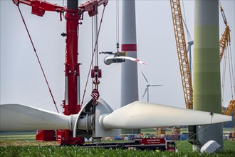 Dismantling of a wind power plant in a wind farm near Issum, 9 older wind turbines from the