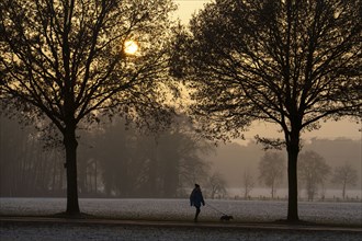 Winter walk with dog, near Dorsten, North Rhine-Westphalia, Germany, Europe