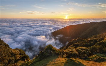 Aerial panorama of sunrise above clouds and green hills at Fanal mountain, Madeira island,