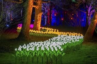 Parkleuchten, event in winter, in the Grugapark in Essen, many different light installations,