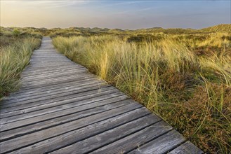 Amrum Island, landscape Germany, dune, dunes, grass, structure, form, vegetation, bphlen, path,